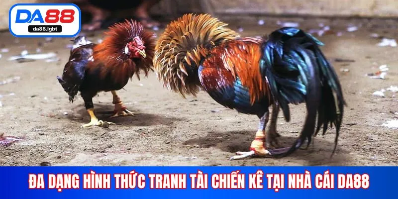 Đa dạng hình thức tranh tài chiến kê tại nhà cái Da88
