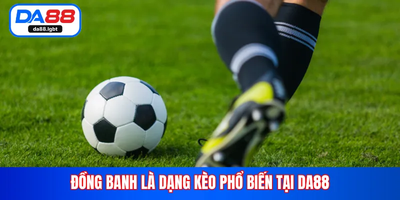 Đồng banh là dạng kèo phổ biến tại DA88